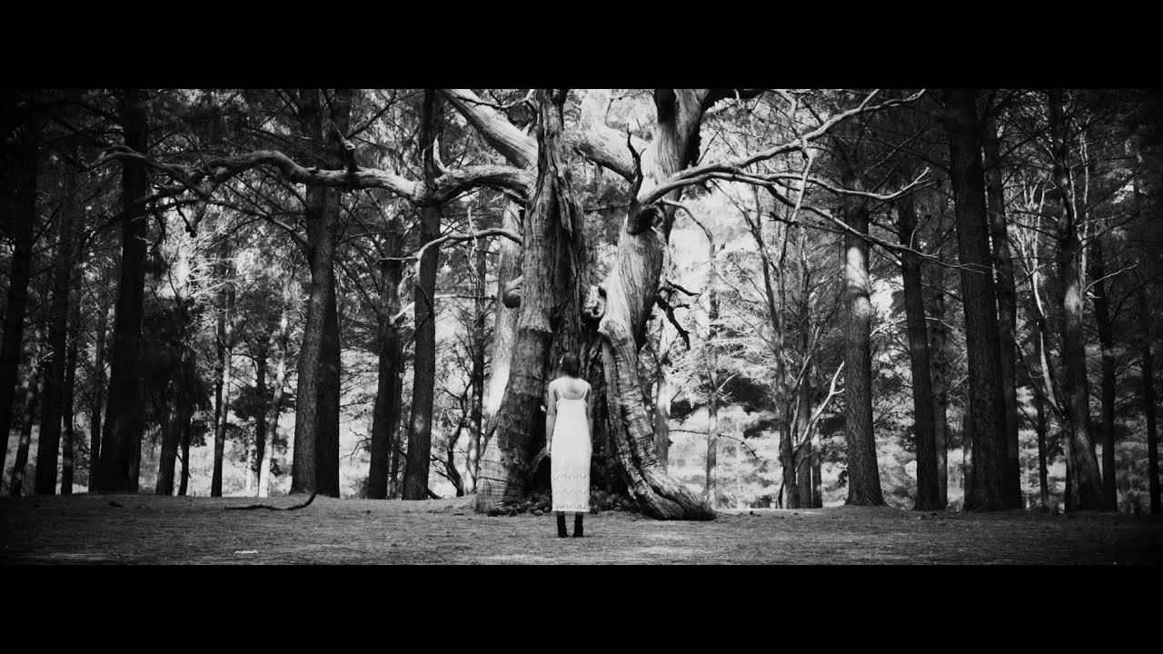 THEODOR BASTARD - Vetvi (official music video) 2021