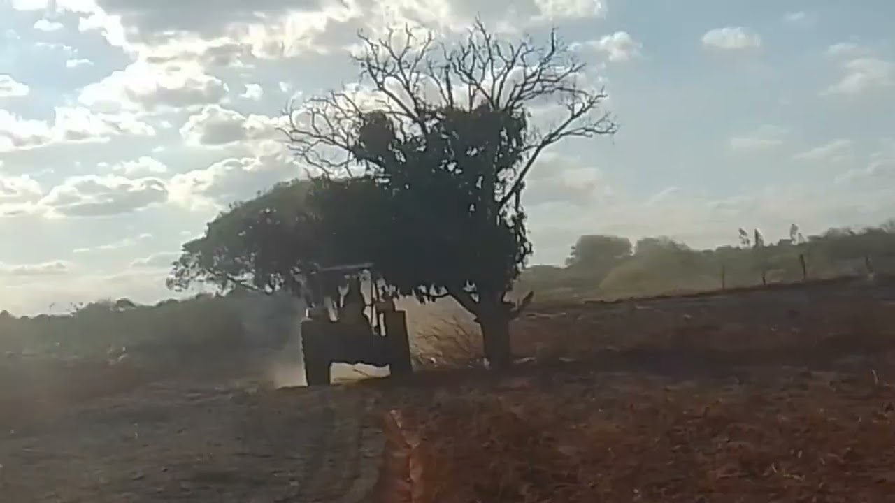 #2 tratores 65 arando roça na Bahia