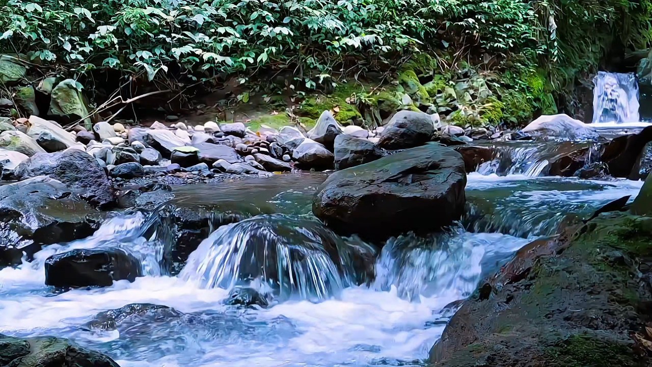 Forest River Ambience for Sleep Meditation