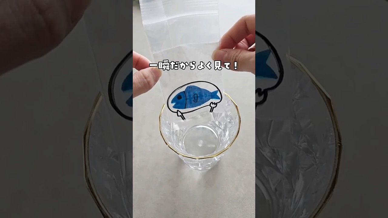 【何でかわかる？絵が変わる水】 #おうち遊び #親子遊び #簡単実験  #実験遊び