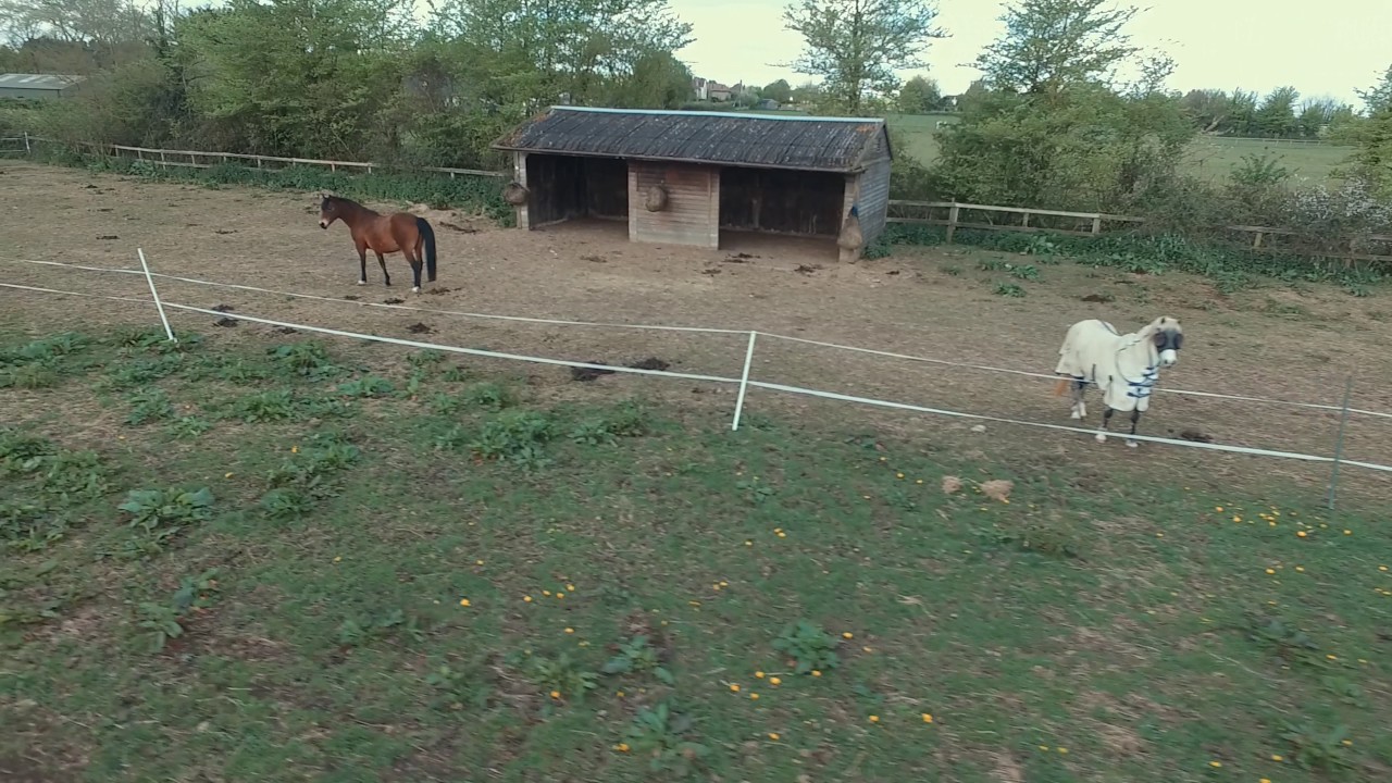 HorseWorld Paddock Paradise Track
