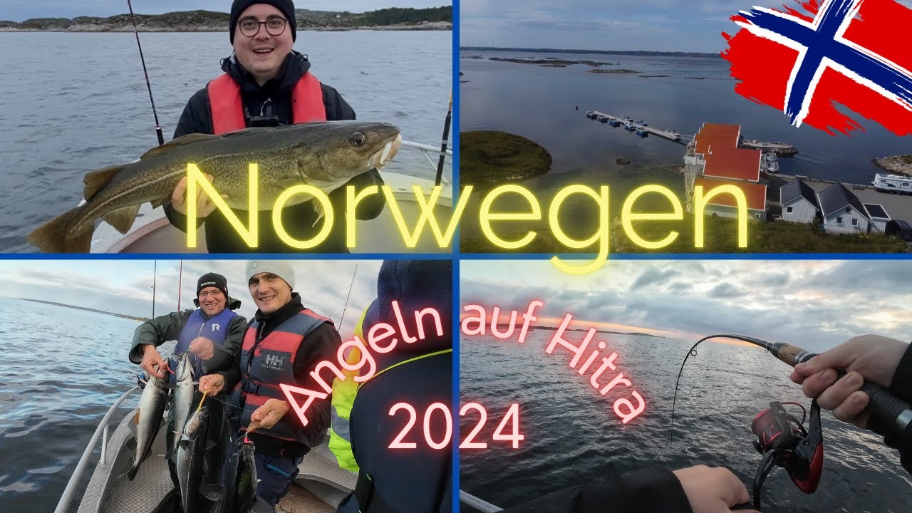 Angeln in Norwegen auf Hitra 2024 | Dorsch & Seelachs | Angelparadies