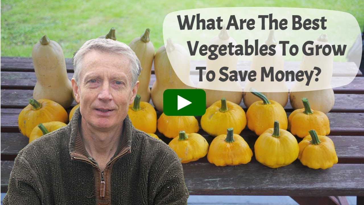 What Are The Best Vegetables To Grow To Save Money? Includes Growing And Cooking Tips.