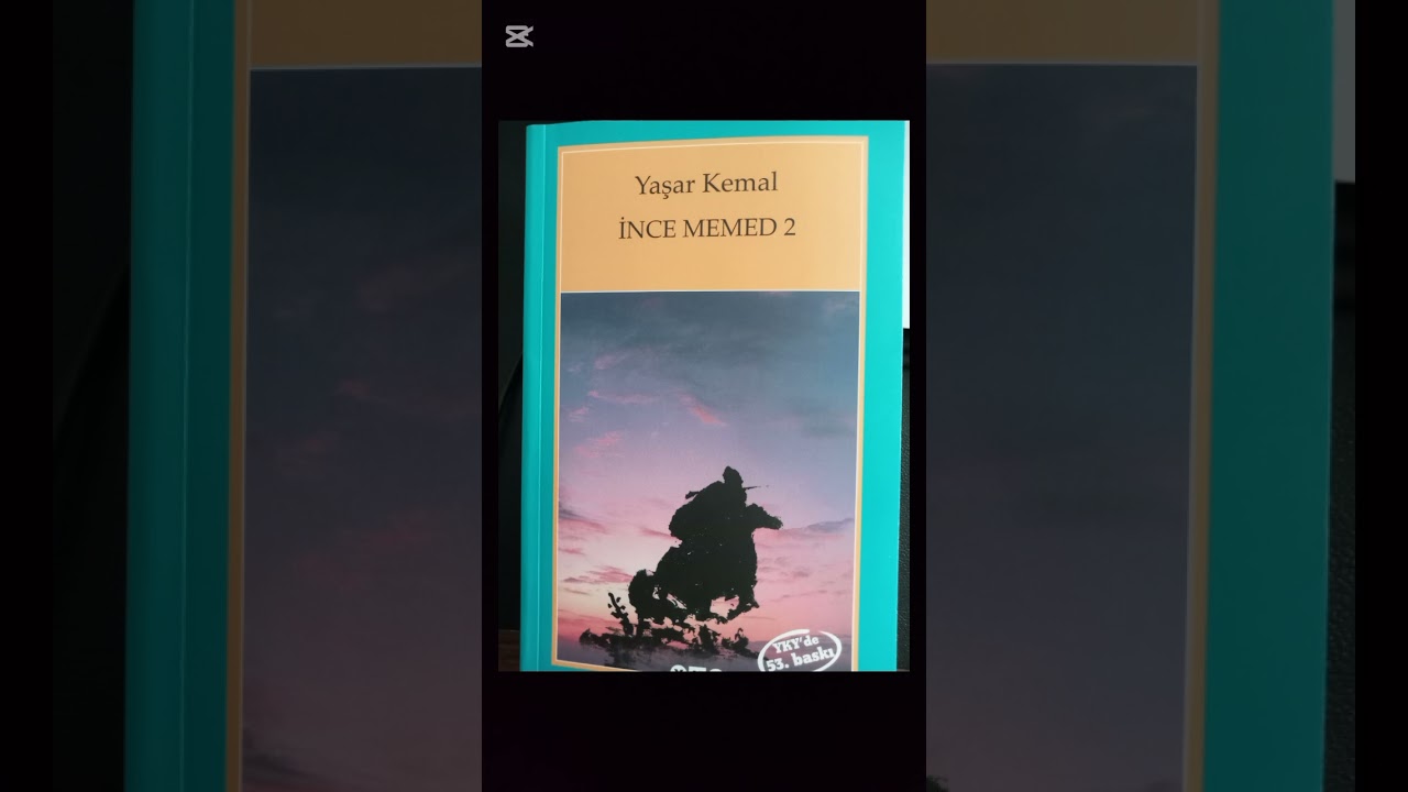YAŞAR KEMAL -İNCE MEMED SERİSİ -2.KİTAP-30. B&Ouml;L&Uuml;M -TURGAY AKPINAR'IN SESİNDEN 