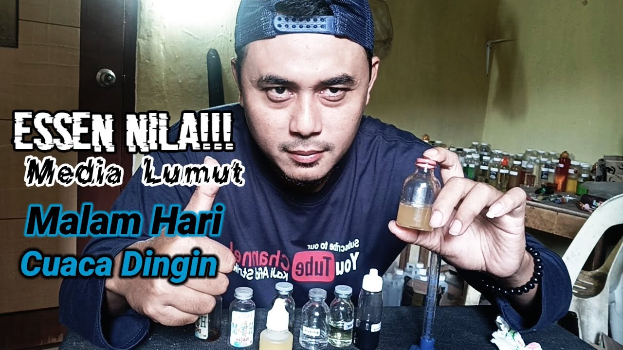 Resep Jitu!!! Essen ikan nila media lumut khusus malam hari dan cuaca dingin
