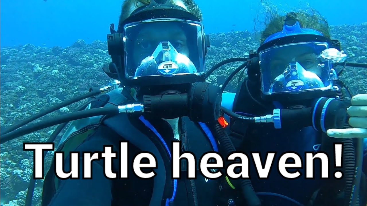 20 - Night Passage and Diving Moorea