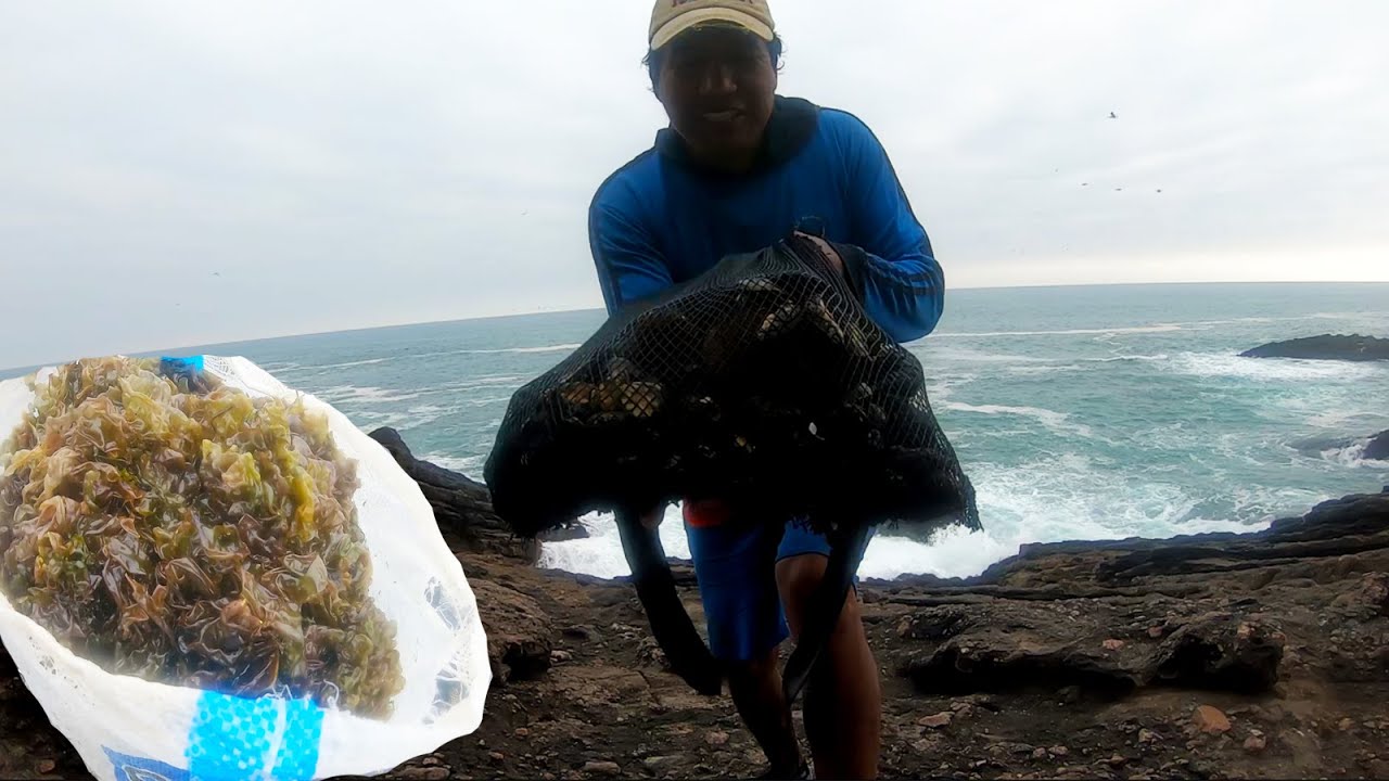 Escalando en las Peñas del Mar para Extraer Mariscos