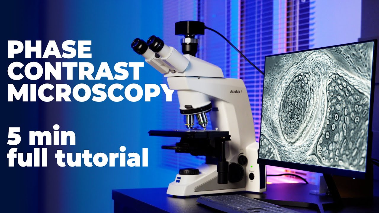 How to: Phase contrast microscopy. Theory, practice, microscope setup.