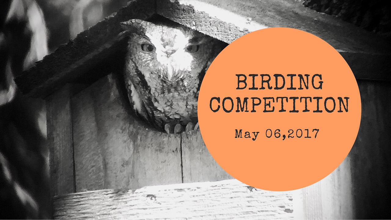 Birding Competition || Adventures of homeschool