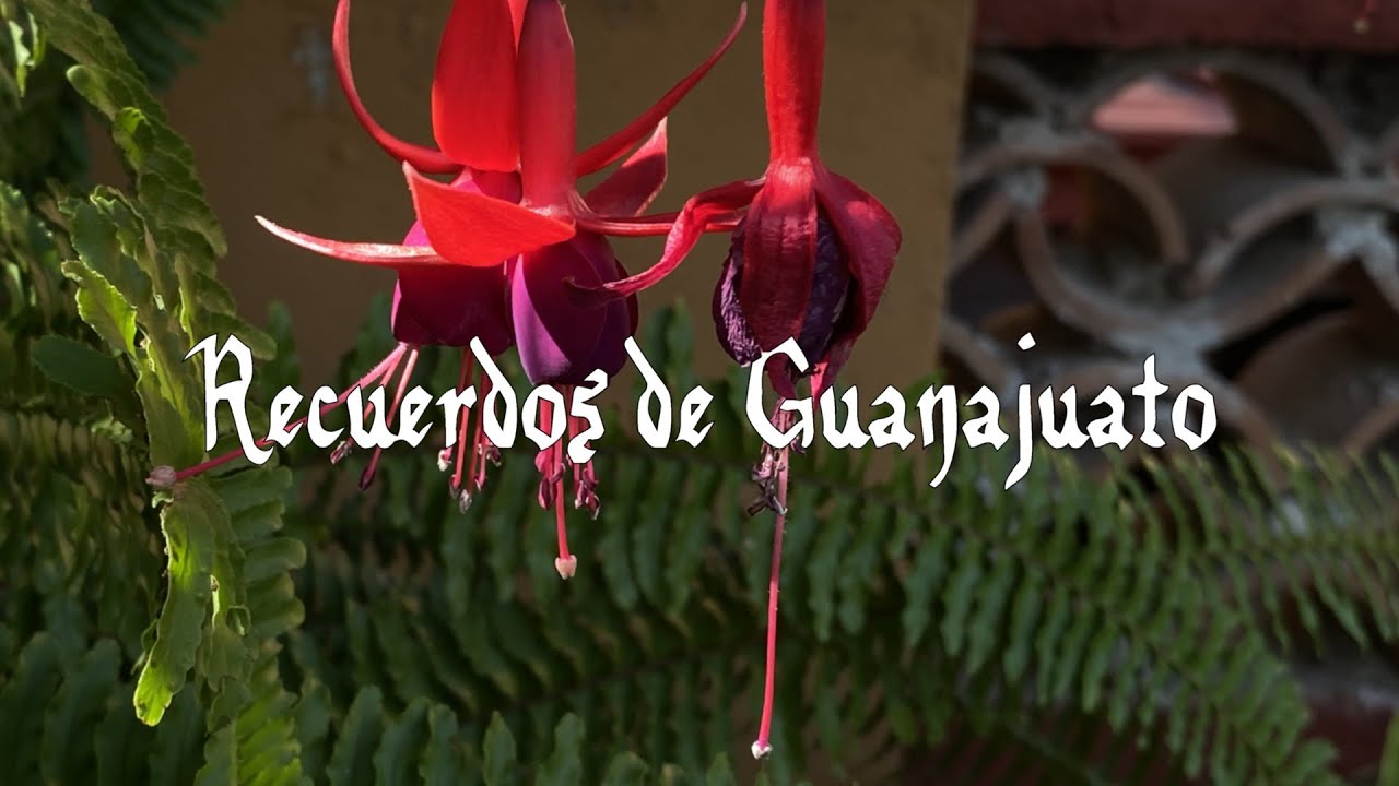 Recuerdos de Guanajuato (Guanajuato Memories) by Jeffrey Olenick  v5