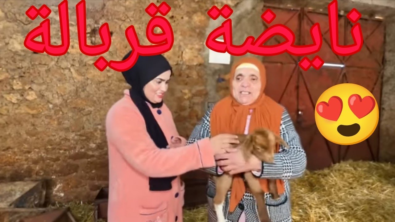 #مربوحة