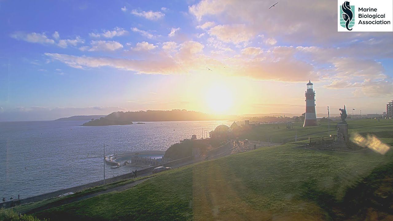 SurveillanceMap LIVE &middot; Smeaton's Tower &middot; Plymouth, England