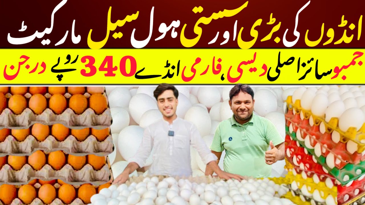 Desi Aur Farmi Anday Wholesale Price | Eggs Wholesale Market in Karachi | Cheapest Egg Market