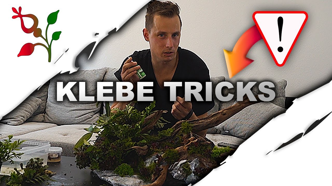 PFLANZEN richtig KLEBEN mit diesen TRICKS!