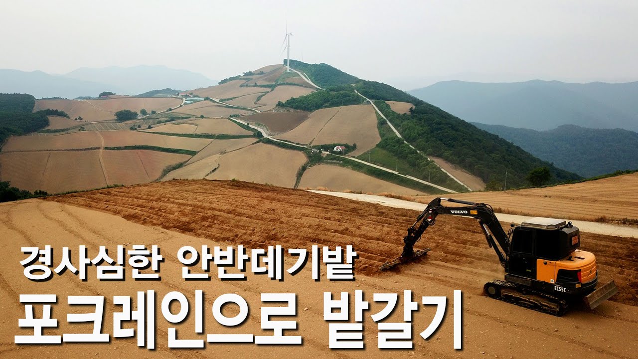 고랭지 채소의 메카 대관령 경사가 심한 안반데기밭  소대신 포크레인으로 밭가는 영상
