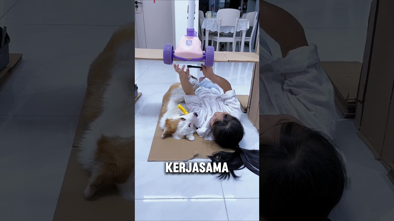 Bengkel ini memiliki kualitas terbaik‼️😅 #shorts