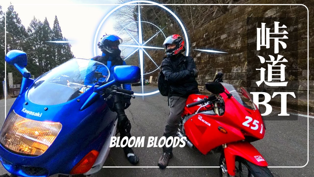 【スマホ視聴不向】峠道BT│ZZR1100・CBR1000RR-R SP・NICOICHI 251・CBR250RR・Ninja ZX-10R・CBR650R・XSR900＜奥多摩01#015＞