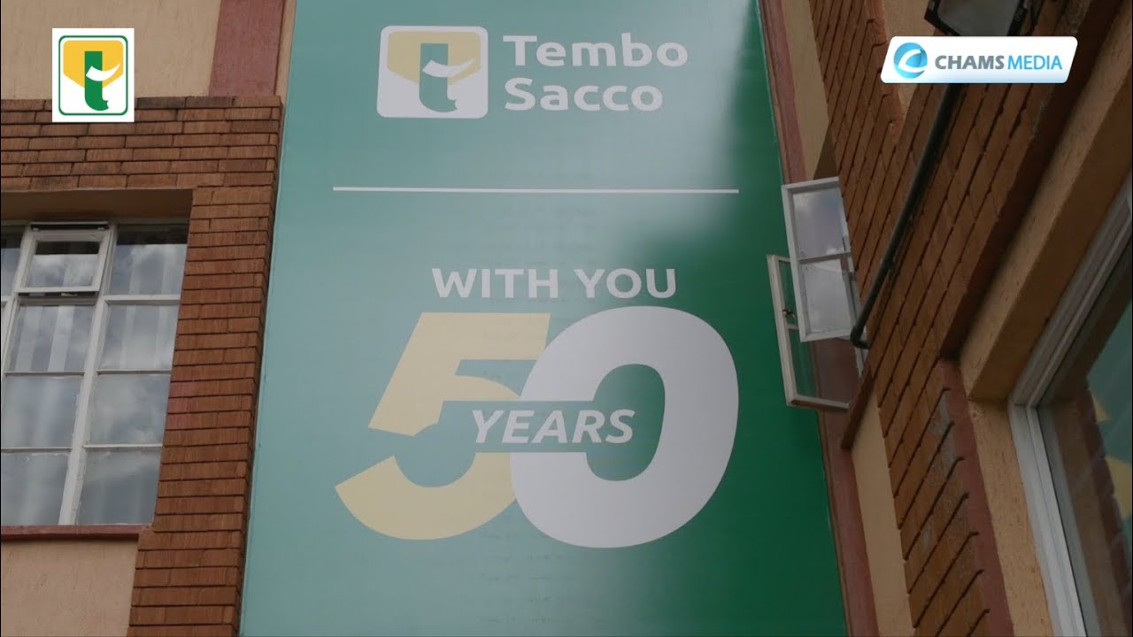 Tembo Sacco's 50 Years of Changing Lives