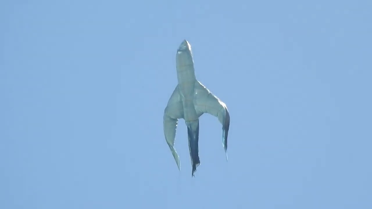 Quando um avião faz um pouso forçado em uma árvore na Camarista Meier