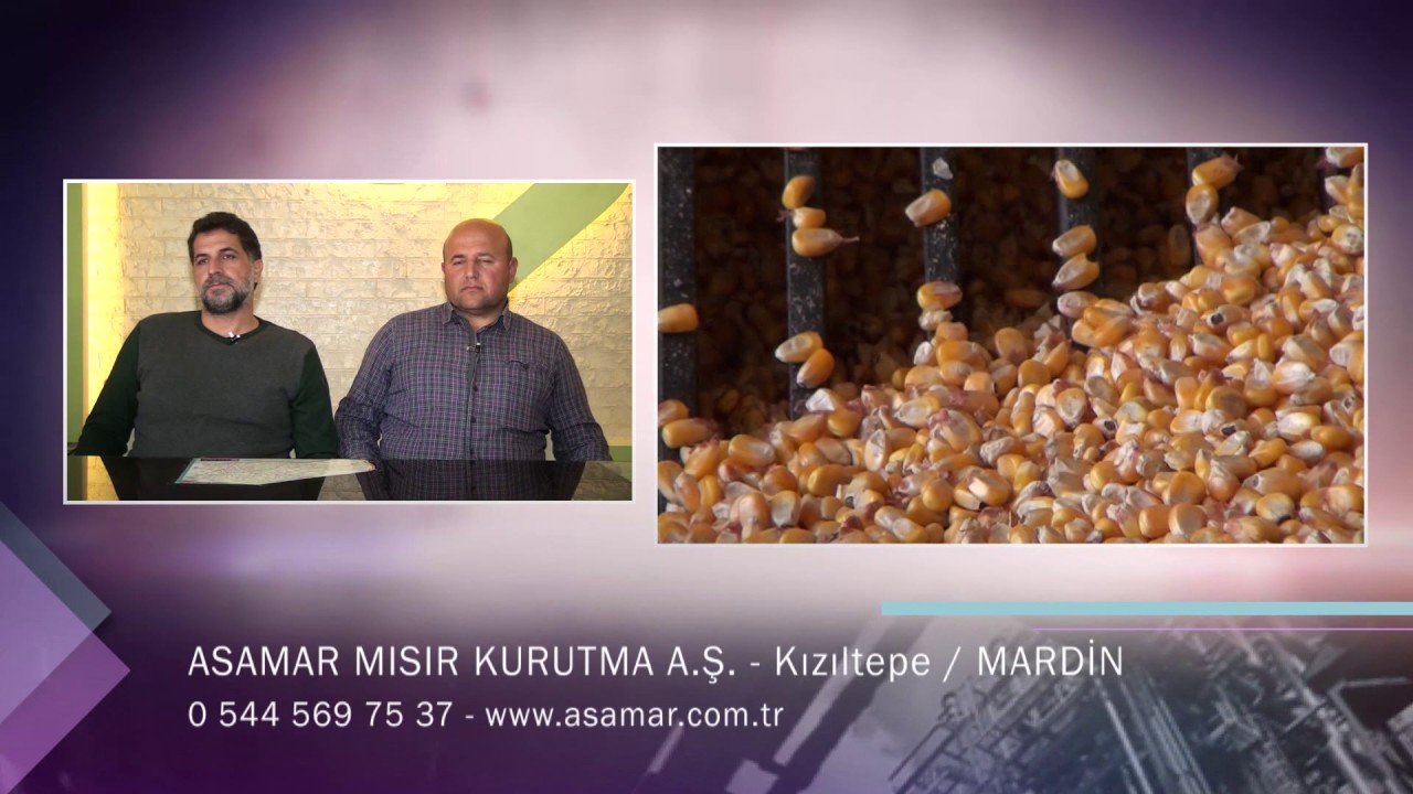 ASAMAR MISIR KURUTMA A.Ş. - MARDİN KIZILTEPE MISIR KURUTMA