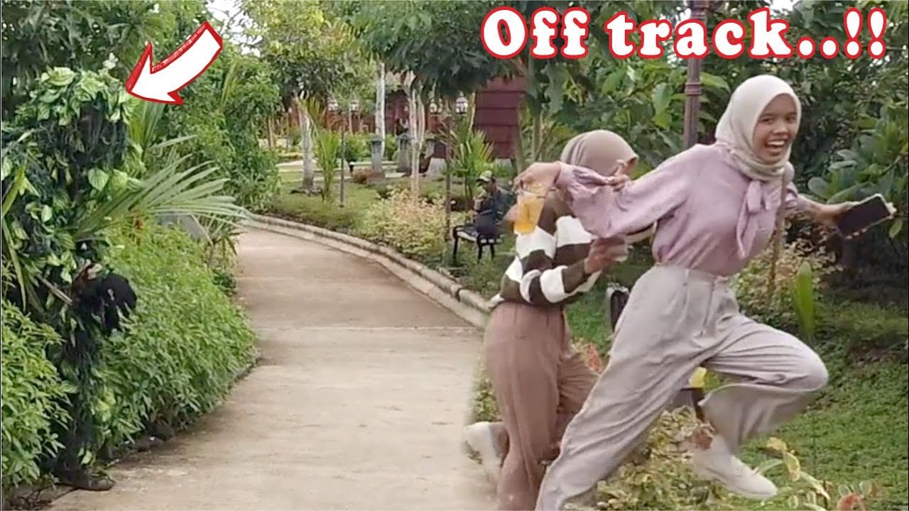 Kocaknya prank manusia pohon ini || Funny bushman prank