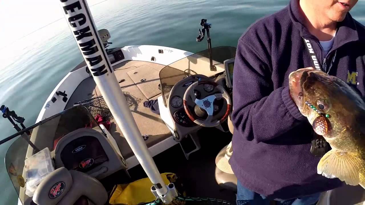 LSCWA 2014 Year in Review