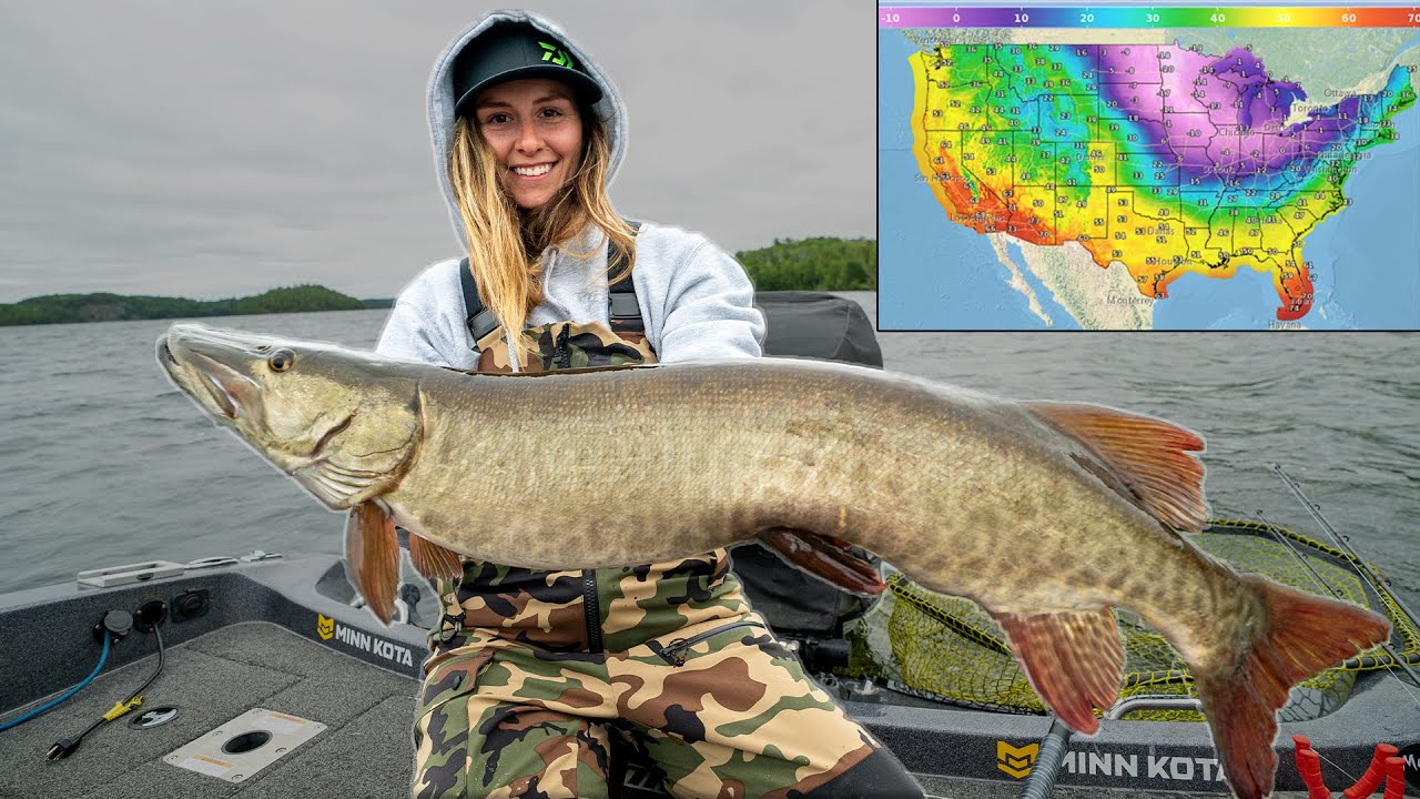 COLD FRONT MUSKY TIPS (Multi species day)