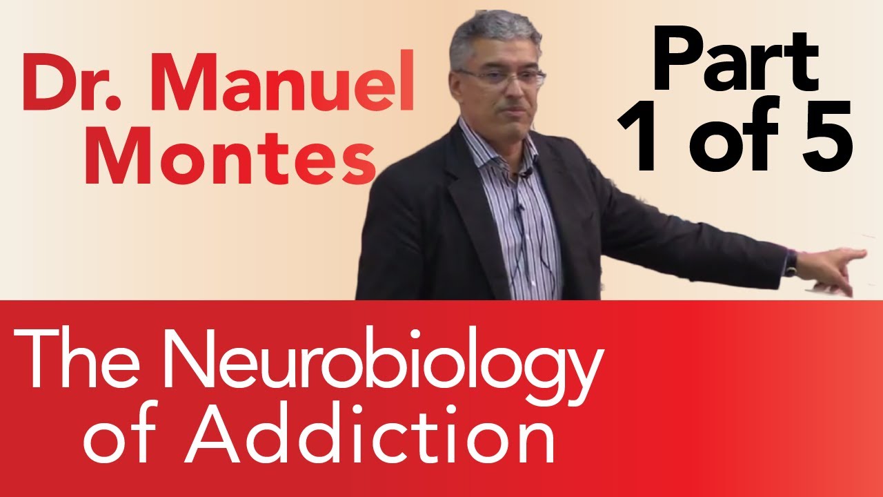Dr. Montes: Neurobiology of Addiction Part 1 of 5 | The Treatment Center