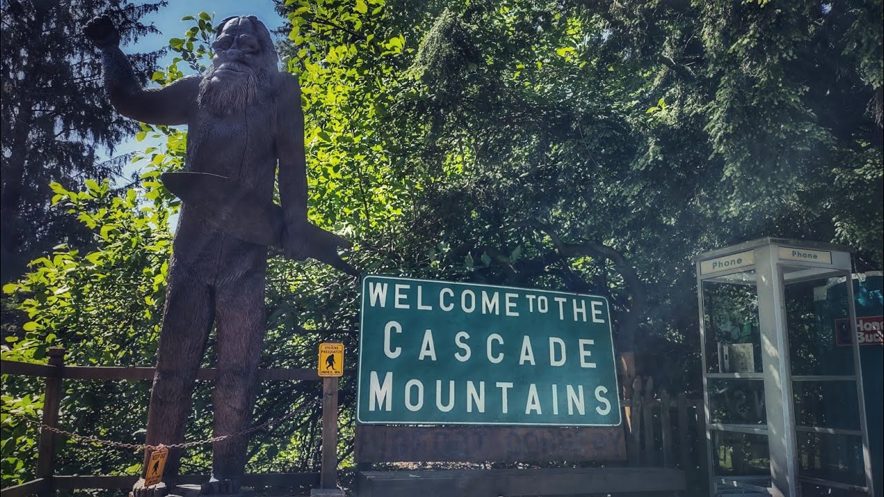 Harry & The Hendersons Film Site