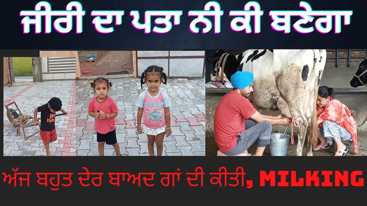 ਜੀਰੀਆ ਦਾ ਪਤਾ ਨੀ ਕੀ ਬਣੇਗਾ ਹੁਣ/// ਅੱਜ ਬਹੁਤ ਦੇਰ ਬਾਅਦ ਗਾਂ ਦੀ ਕੀਤੀ milking // @gurfatehfarmer6951