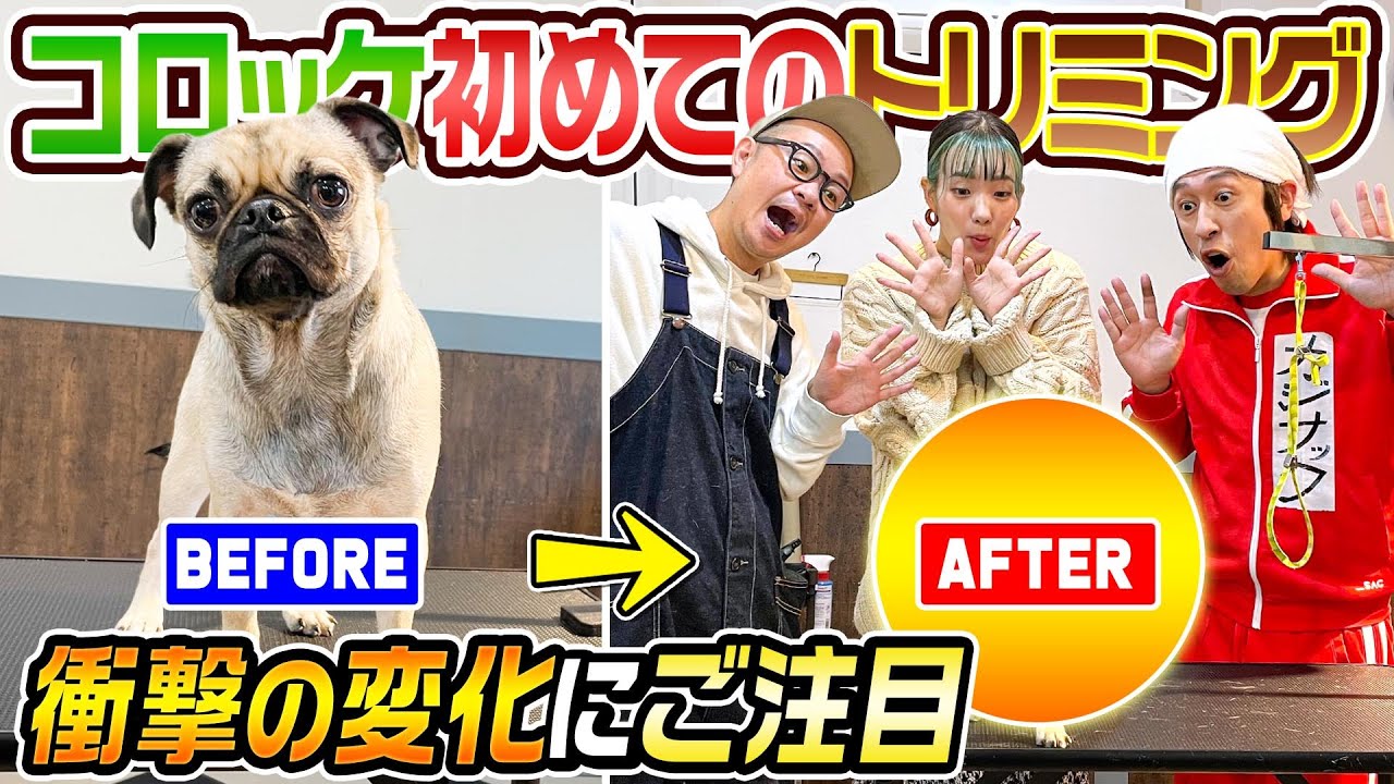 【衝撃の変化】ビューティー