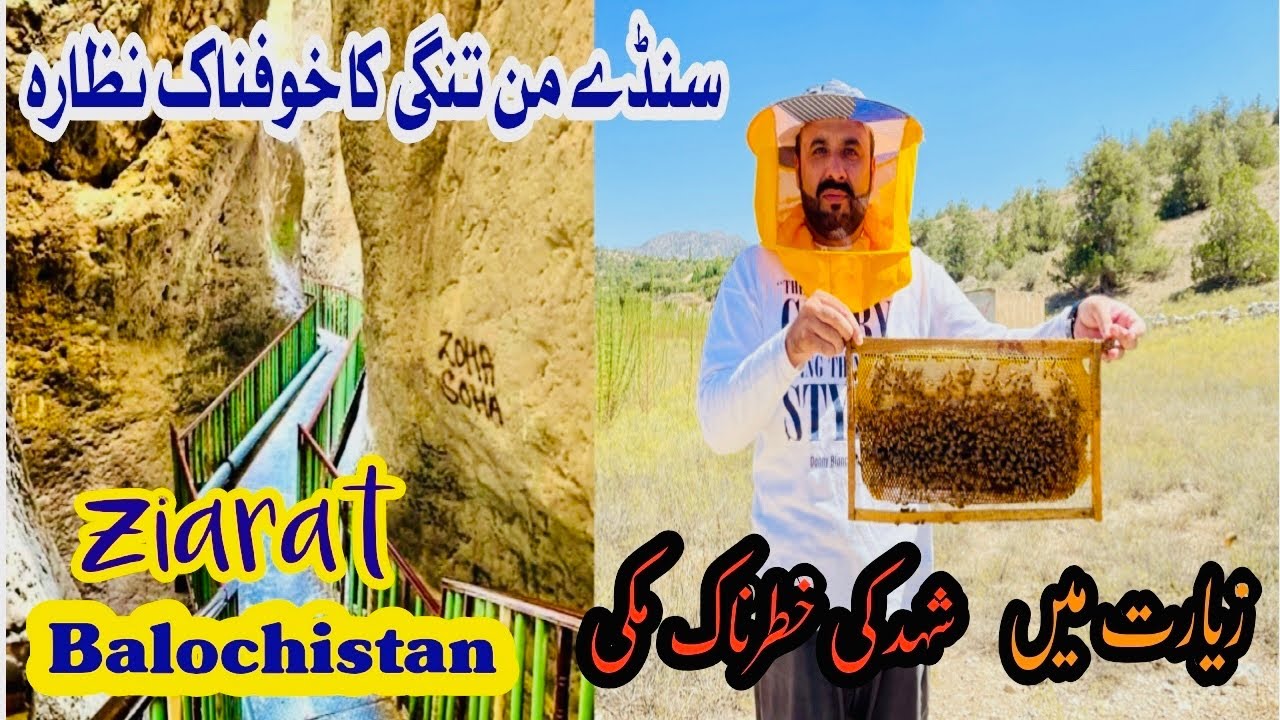 Sandeman Tangi | Ziarat Honey Farm |  Tanda Ziarat Quetta Balochistan