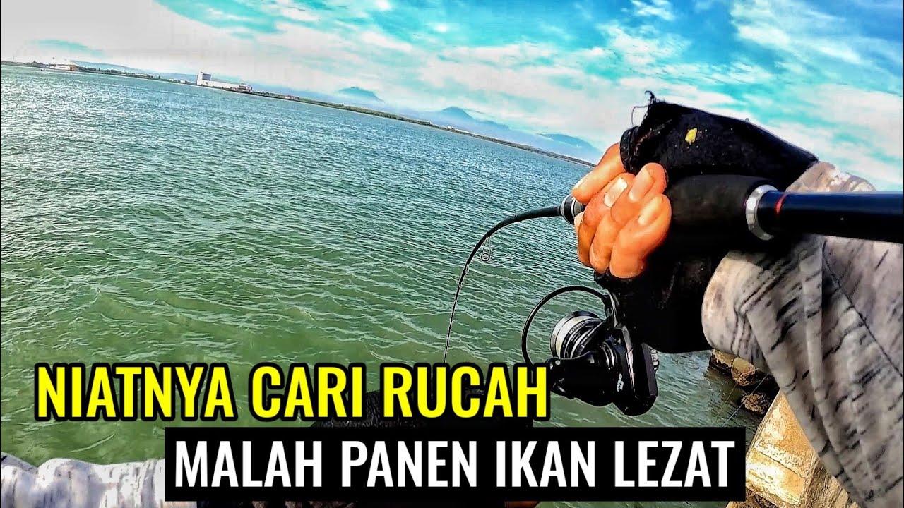 MANCING DI DAM NIAT CARI IKAN RUCAH, MALAH PANEN IKAN LEZAT !!!