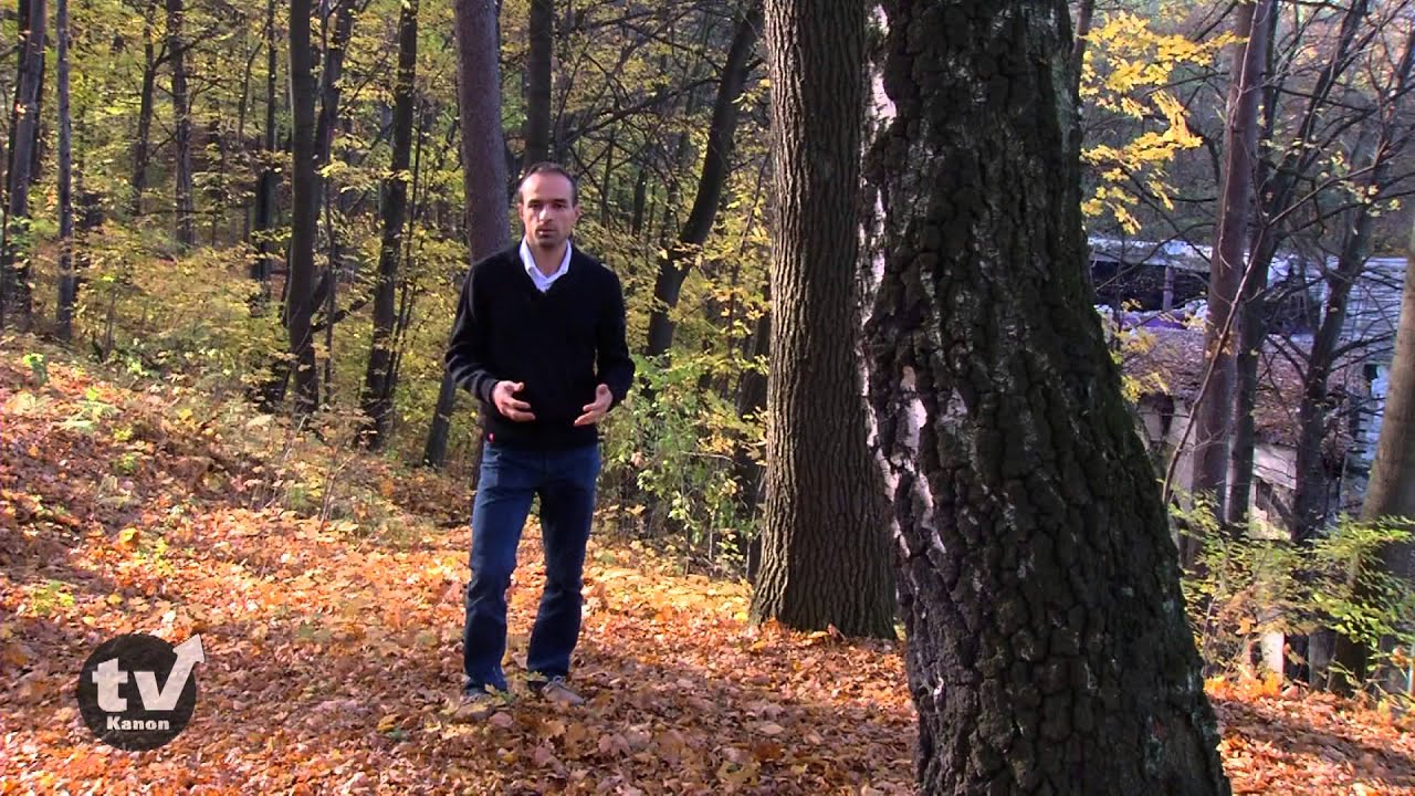 Jastrzębie-Zdrój wczoraj i dziś odc. 3