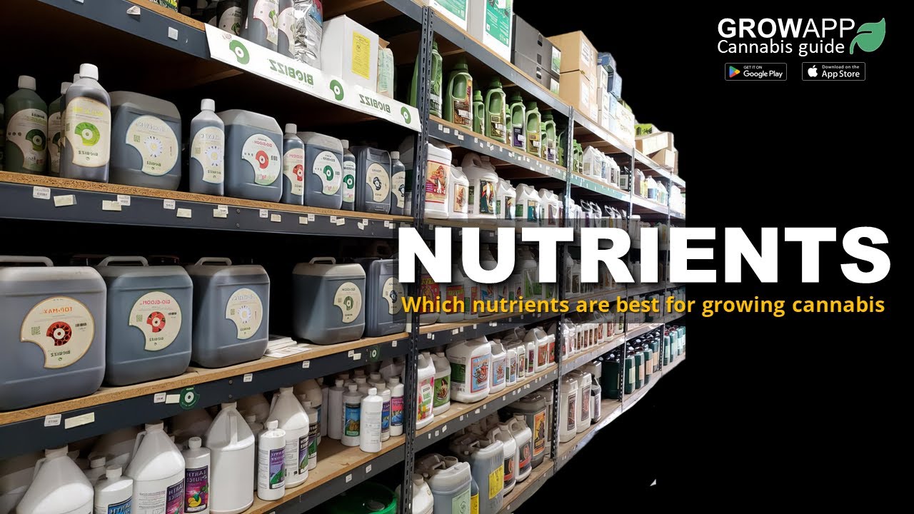 Which nutrients are best for growing cannabis