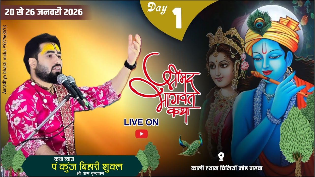 LIVE-DAY-1 