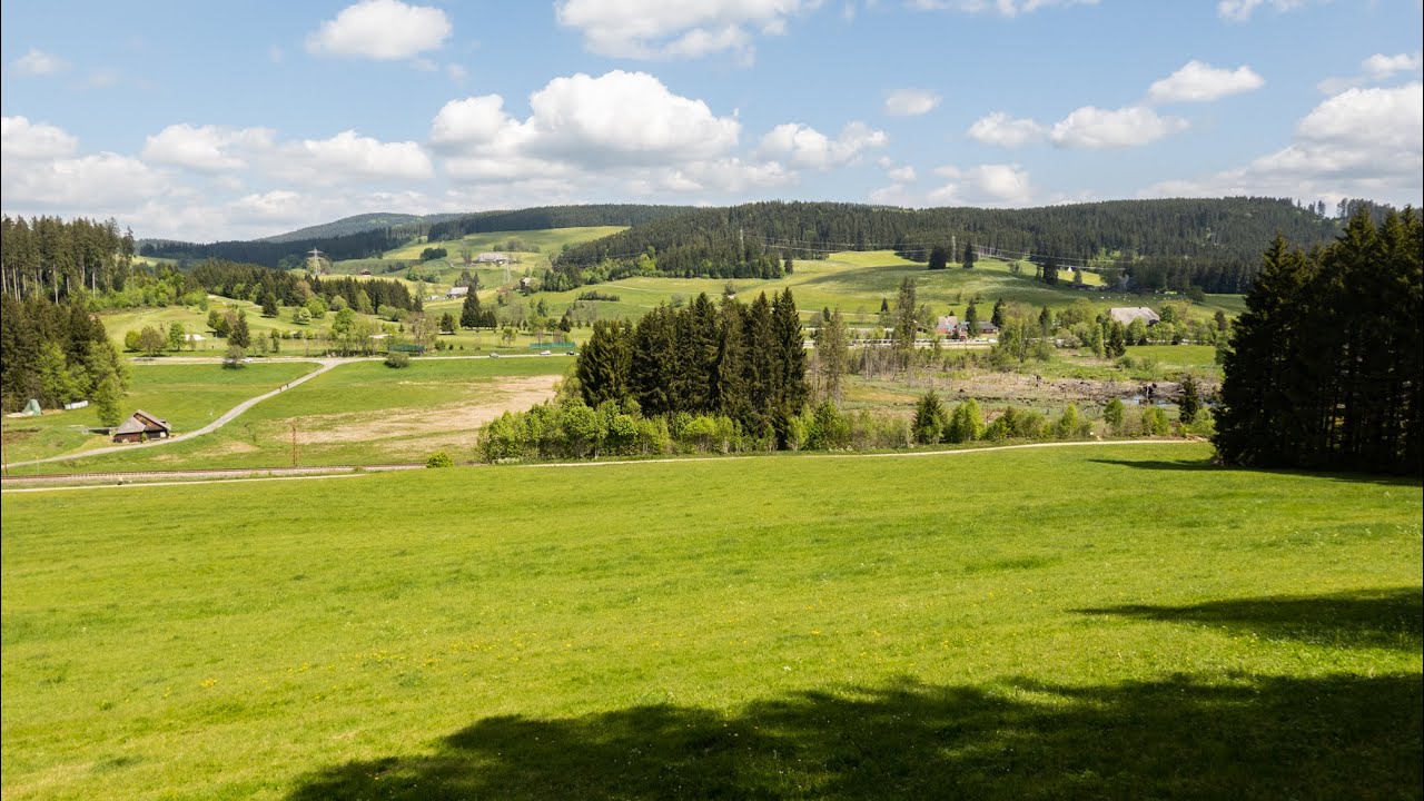 Wandeling tussen Titisee en Hinterzarten (Zwarte Woud)