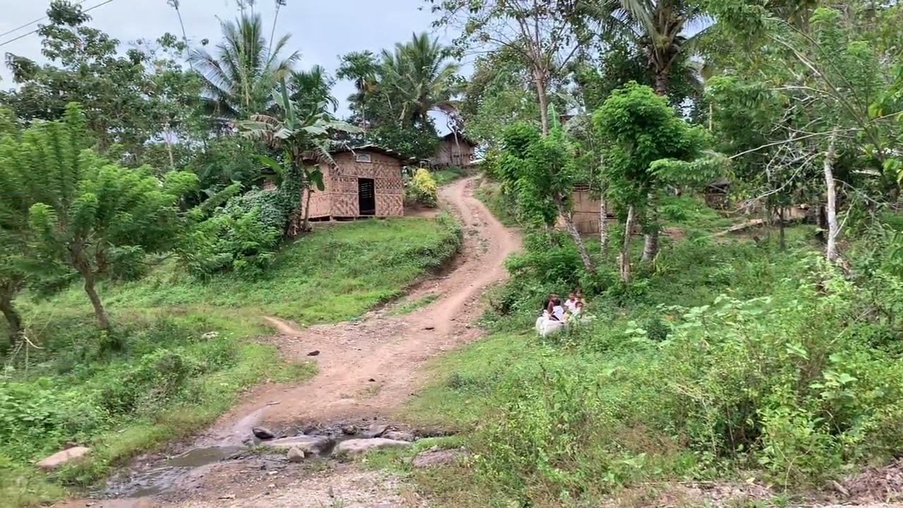 Province life 