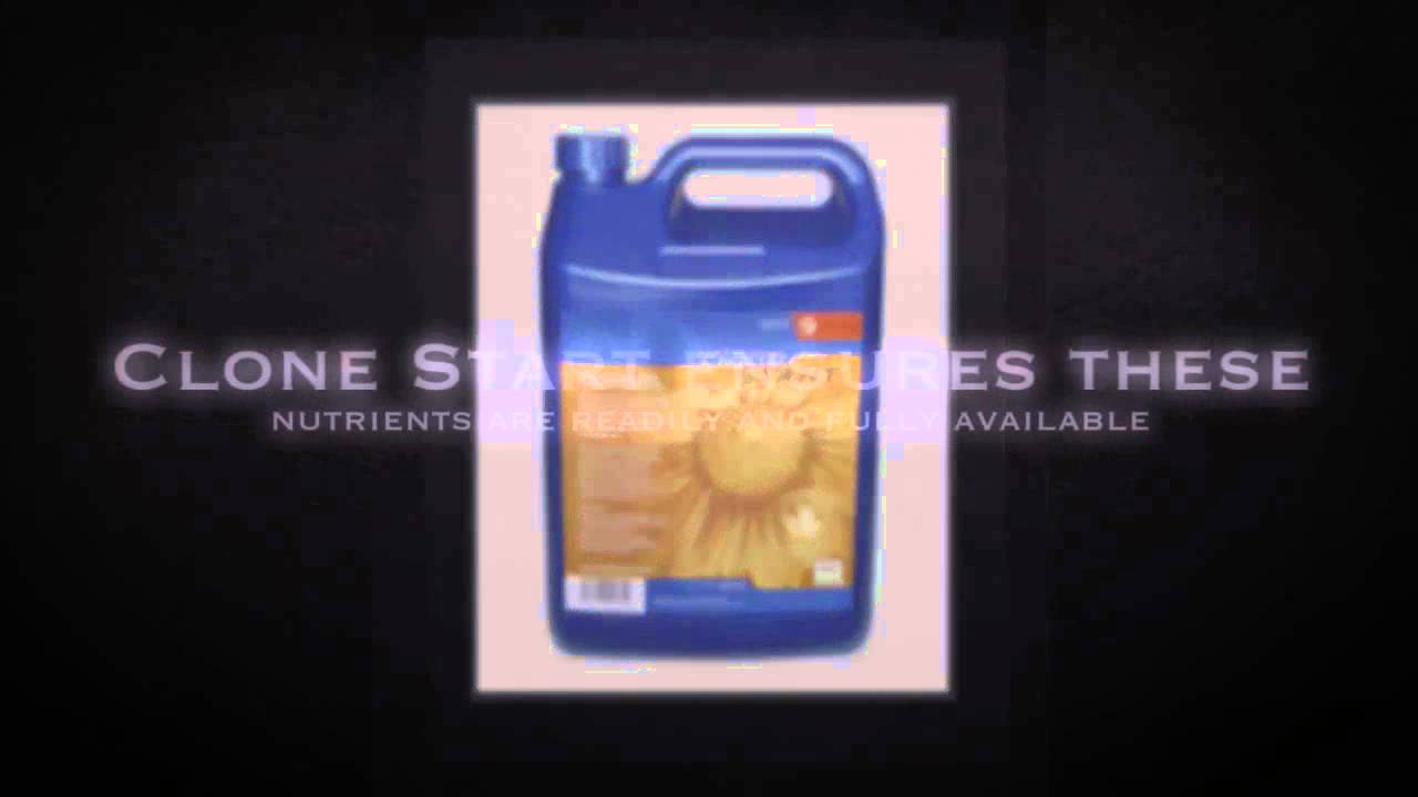 Clone Accelerator For Hydroponics System