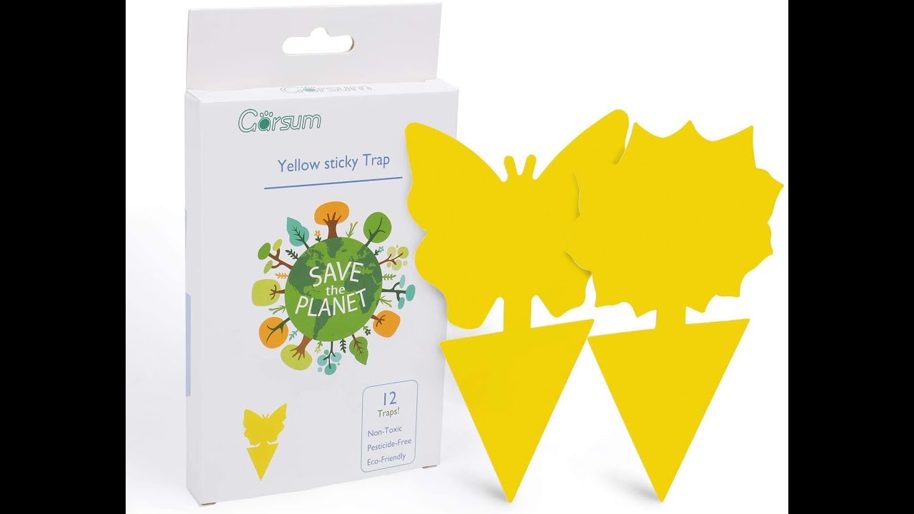 Garsum Sticky Trap,Fruit Fly and Gnat Trap Yellow Sticky Bug Traps for Indoor/Outdoor Use