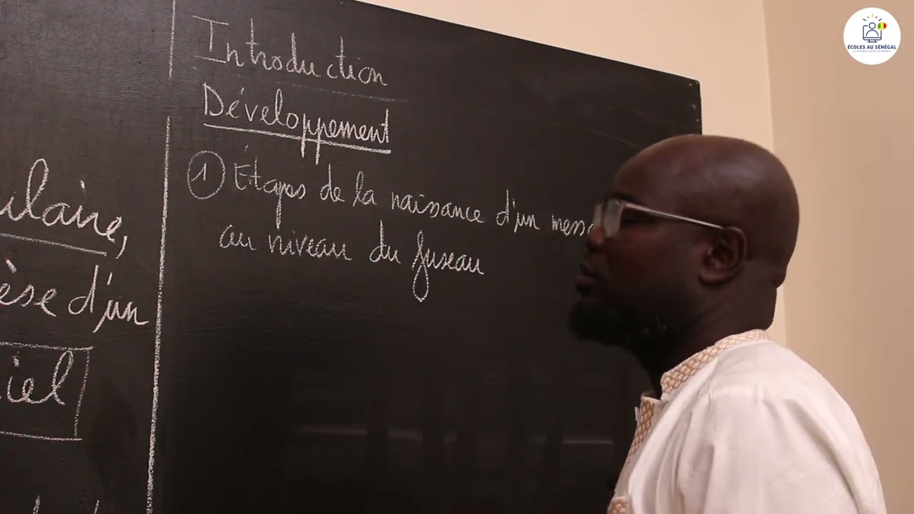 Exercices - Terminale S1 & S2 - SVT:  Application / Propriétés du Tissu nerveux / Suite 2/ M. Gnasse