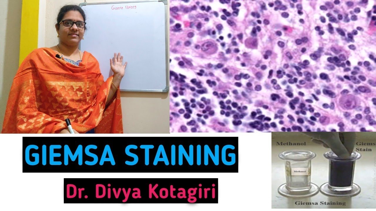 Part 6: Giemsa staining# differential staining technique# staining techniques# Genes & Genus