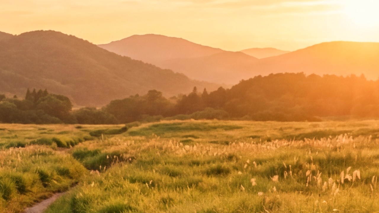 2 Hours of Golden Sunset Meadow | 4K Nature Ambience