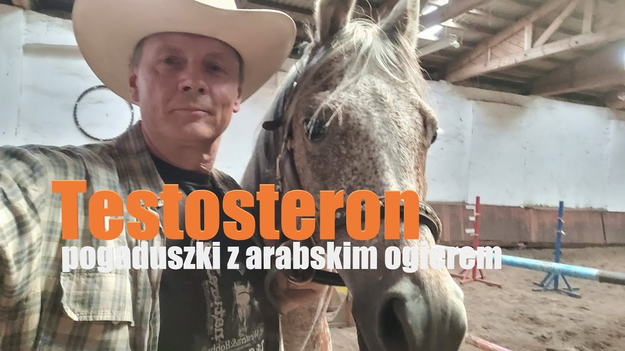 Testosteron i Alvaro