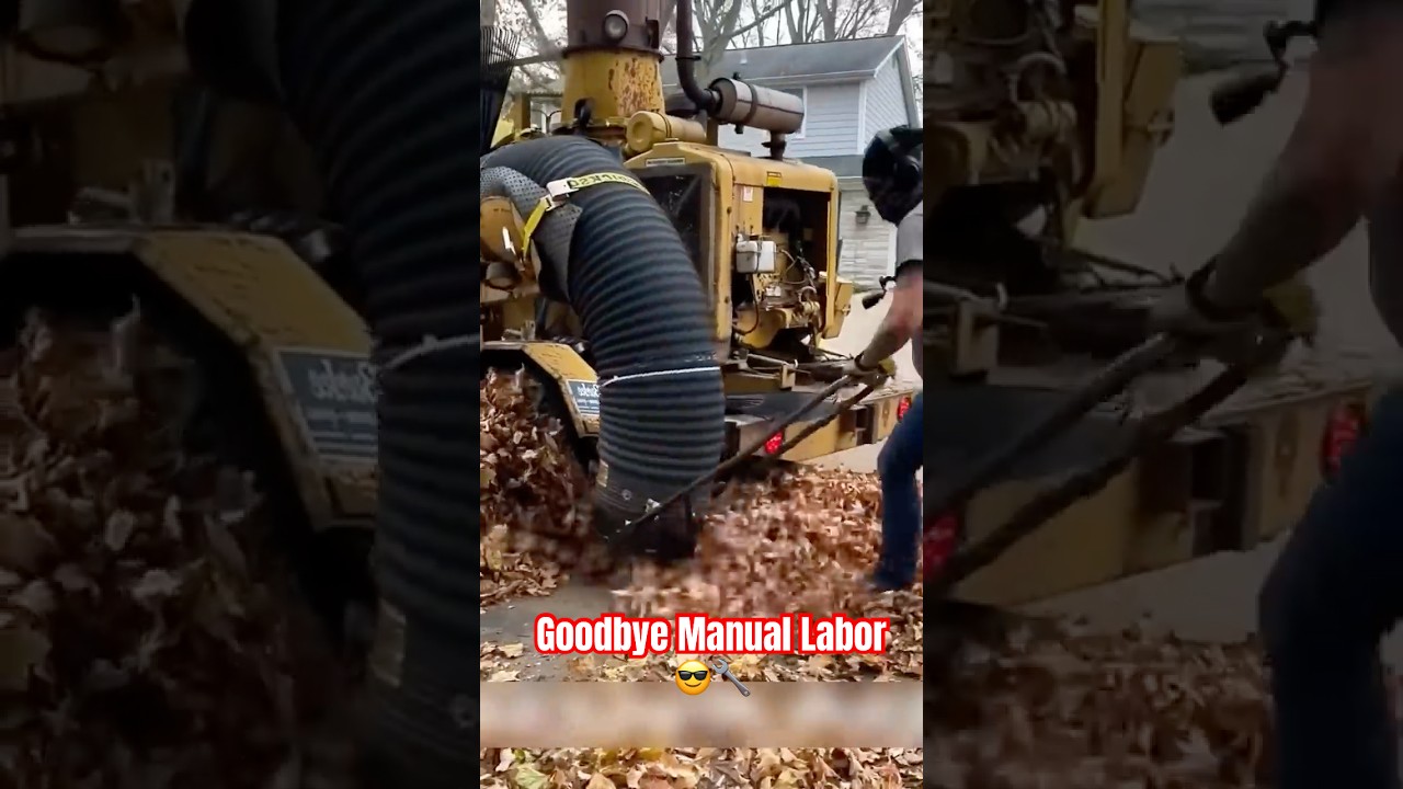 When technology decides to clean up EVERYTHING 💀🍂