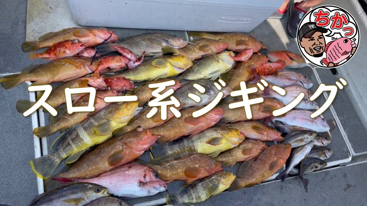 【スロージギング】入れ食い！やっぱりアレが釣れた