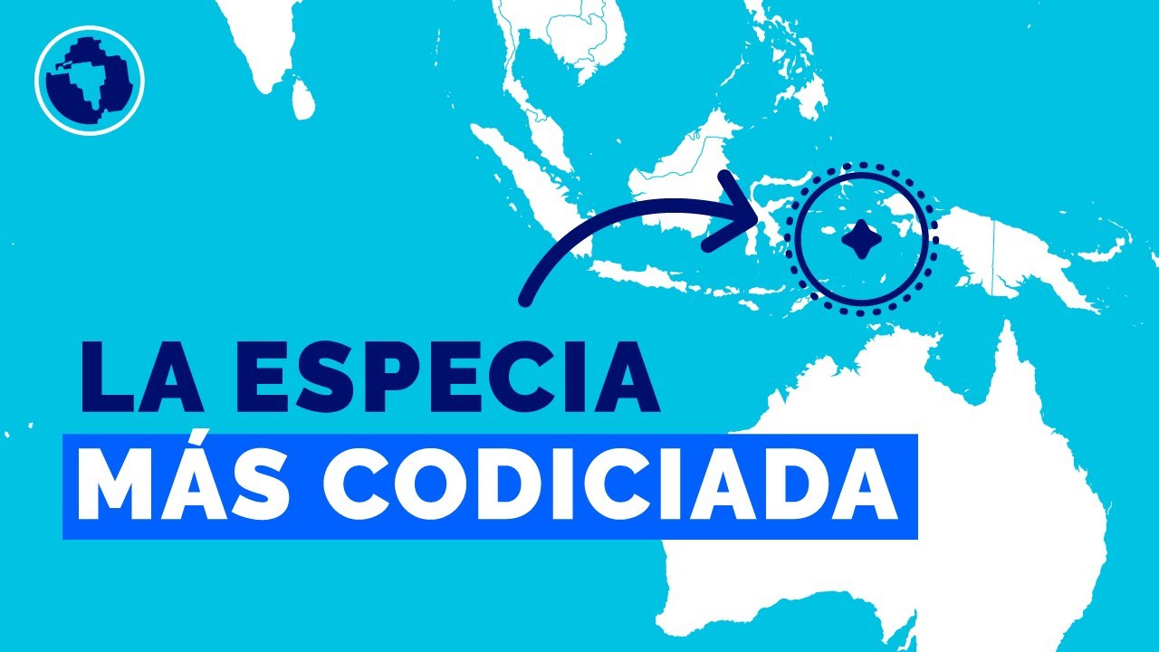 Banda, el archipiélago secreto