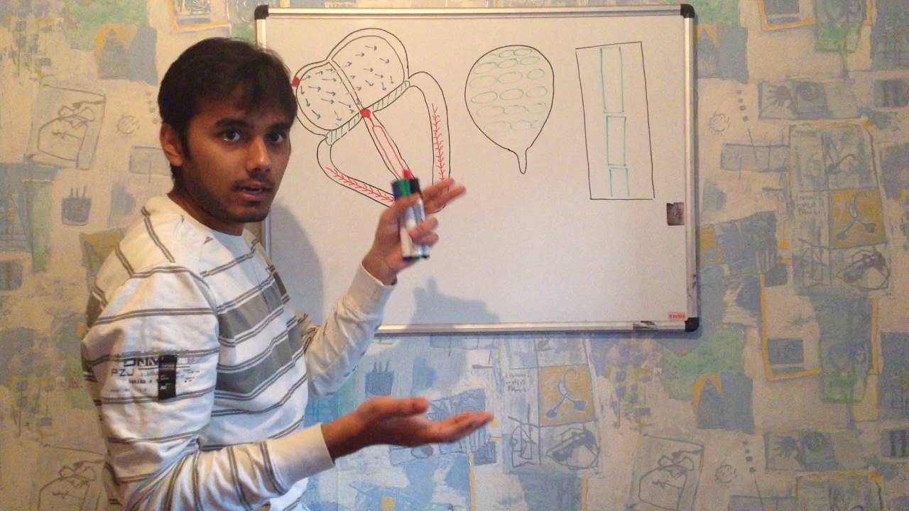 CONDUCTING SYSTEM OF HEART { MADE SIMPLE}