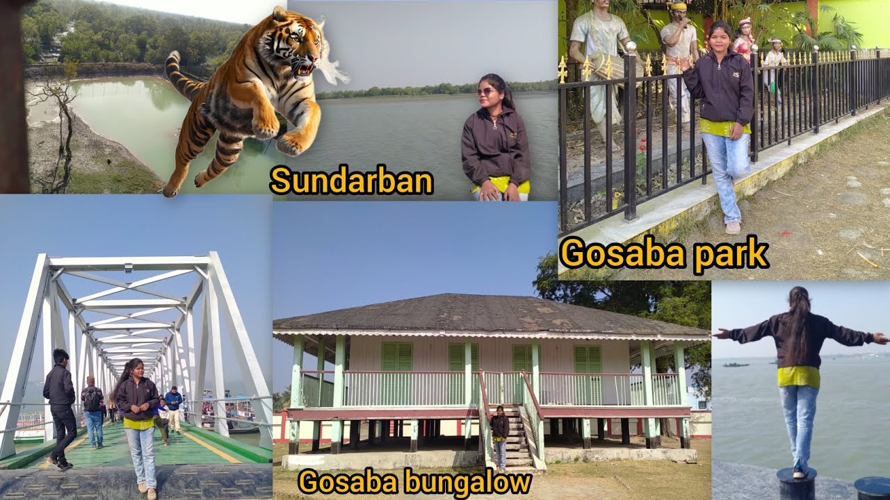 Sundarban/gosaba park/Gosaba bungalow #santalivolgvideo#