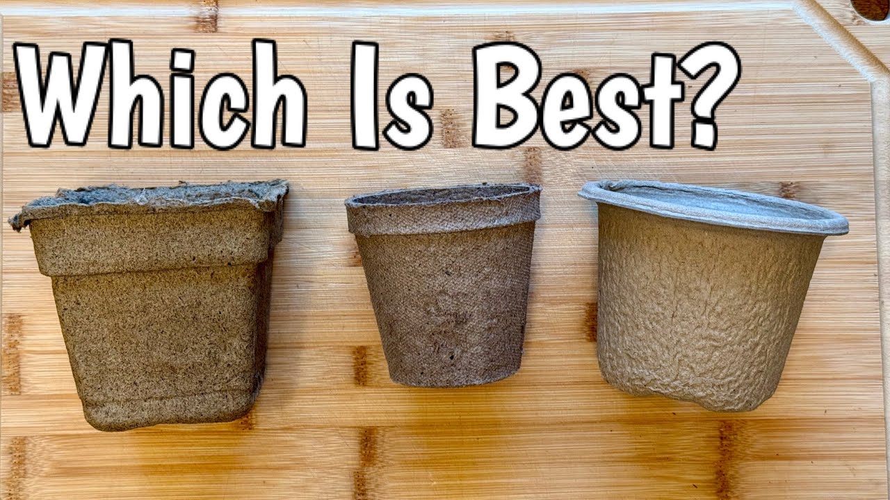 Which Plantable Starter Pot is Best?